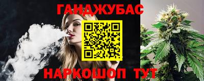 стафф Гусев
