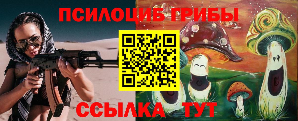 Галлюциногенные грибы Psilocybine cubensis  Псилоцибиновые грибы мицелий  Вход с VPN  сколько стоит  Минеральные Воды 